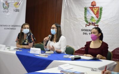 MinTrabajo socializó beneficios y subsidios para empresarios a gremios del Tolima