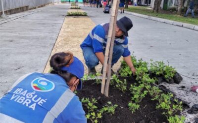 Alcaldía de Ibagué refuerza jornadas de limpieza en los escenarios del Mundial de Patinaje