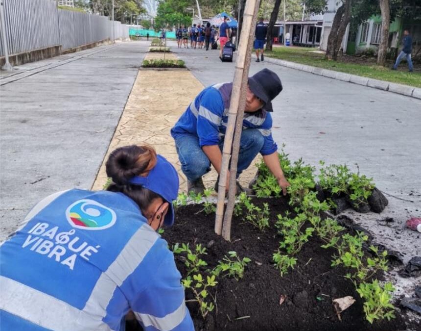 Alcaldía de Ibagué refuerza jornadas de limpieza en los escenarios del Mundial de Patinaje