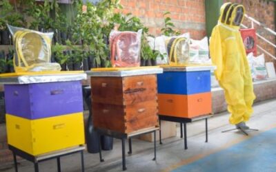 Cortolima fortalece a mujeres y jóvenes que impactan positivamente el ambiente en el Tolima