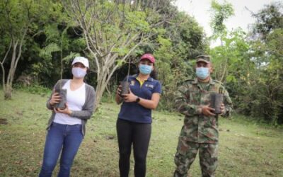 Tolima alcanza el 50% de la meta de siembra de un millón de árboles