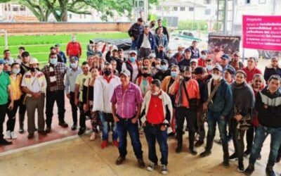 Familias cafeteras del Tolima reciben incentivos del Programa de Renovación y Nuevas Siembras
