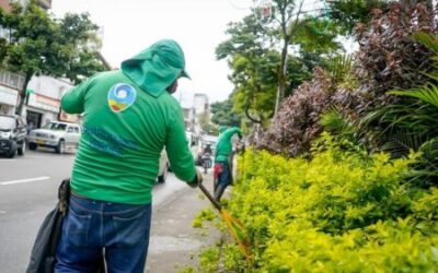 Guardianes verdes embellecen los separadores de la carrera Quinta