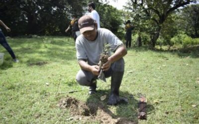 400 árboles fueron sembrado en la vereda La Chamba, zona rural del municipio del Guamo