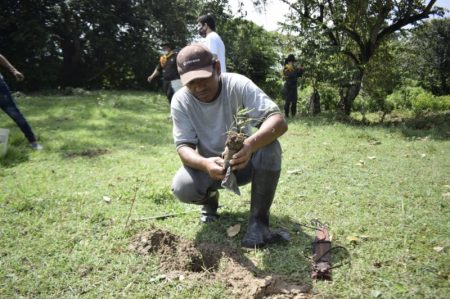 400 árboles fueron sembrado en la vereda La Chamba, zona rural del municipio del Guamo