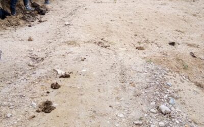 Más de cinco corregimientos reportaron emergencias en sus vías de acceso por lluvias