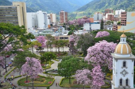 Ibagué incluida por la Unesco como Ciudad Creativa