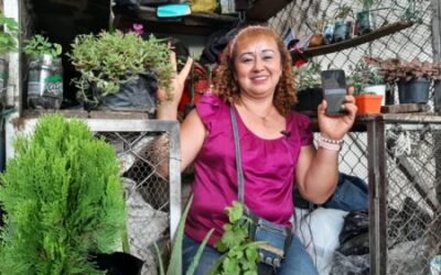 Comerciantes de plaza La 21 ofrecen sus productos en redes sociales con Internet gratuito