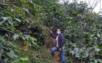 Habitantes de zona rural continúan recibiendo asistencia técnica de la Alcaldía de Ibagué