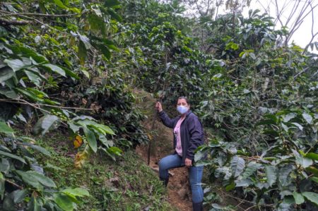 Habitantes de zona rural continúan recibiendo asistencia técnica de la Alcaldía de Ibagué