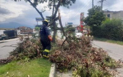 Bomberos Oficiales de Ibagué atienden incremento de emergencias durante la temporada de lluvias