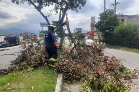 Bomberos Oficiales de Ibagué atienden incremento de emergencias durante la temporada de lluvias