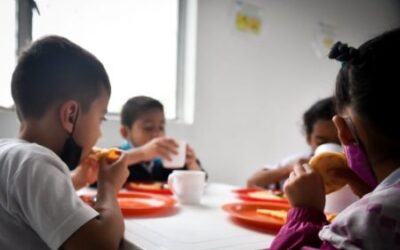 Alcaldía de Ibagué solicitó el cambio de alimento lácteo a operador del PAE 