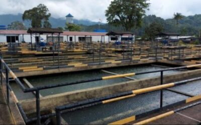 IBAL mantiene alerta por ola invernal durante la Semana Santa