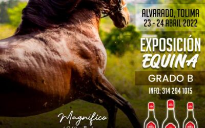 La pasión equina se vive con aguardiente tapa roja