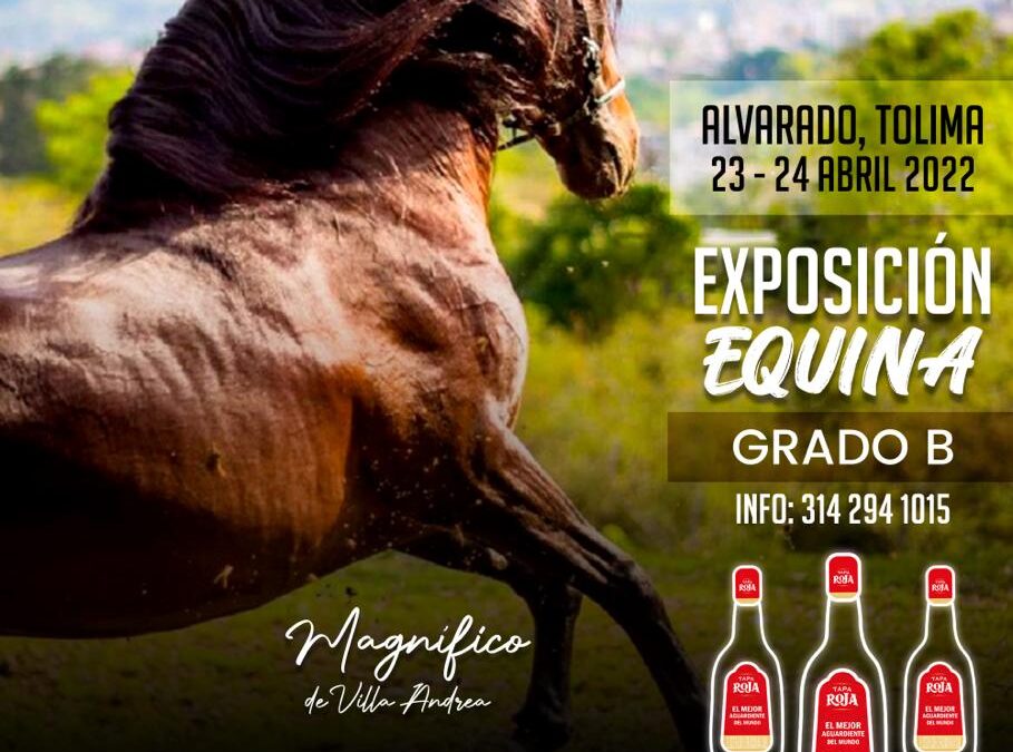 La pasión equina se vive con aguardiente tapa roja