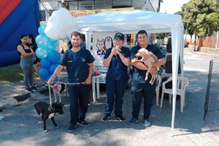 En lo que va corrido del año, 102 ‘peluditos’ han sido adoptados en el ‘CAPA’ de Ibagué