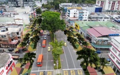 Más de 2.100 árboles serán sembrados sobre la carrera Quinta de Ibagué
