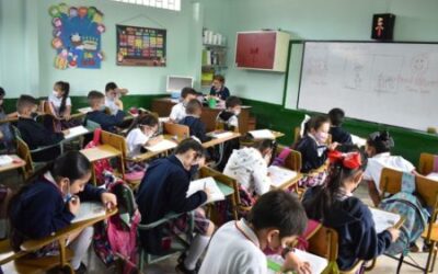 Conozca la ruta de atención en caso de acoso escolar que siguen los colegios en Ibagué