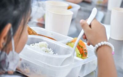 Conozca los canales de atención donde puede denunciar irregularidades del PAE en Ibagué