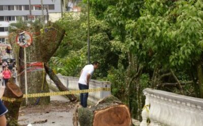 Inicia proceso de recuperación del paso peatonal de la calle 10 en el parque Centenario