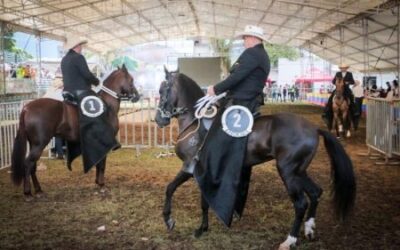 Con la visita de más de 6.000 personas inició la Feria Equina y Bovina