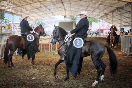 Con la visita de más de 6.000 personas inició la Feria Equina y Bovina