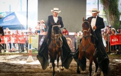 Más de 20 mil personas visitaron la Feria Equina y Bovina en su tercer día