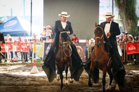 Más de 20 mil personas visitaron la Feria Equina y Bovina en su tercer día