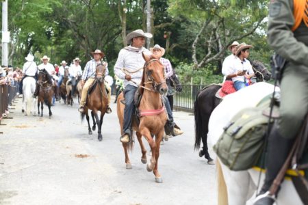 ¡Pilas! En Ibagué prohìben el consumo de licor durante la cabalgata