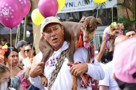 Gran participación en la primera versión del ‘4 Patas Festival’ que se desarrolló en la ciclovía de Ibagué