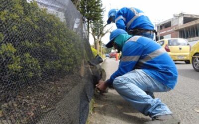 Comenzó plan de protección de los Jardines Urbanos durante las fiestas en Ibagué 