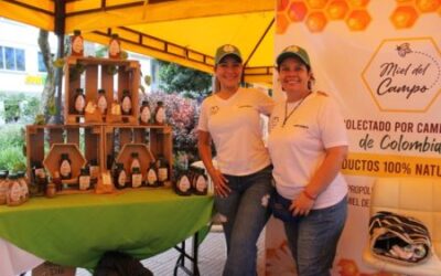 Melisa Arboleda, la ibaguereña que le apuesta a la apicultura con apoyo de la Alcaldía