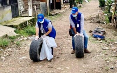 Bajan los casos de dengue en Ibagué