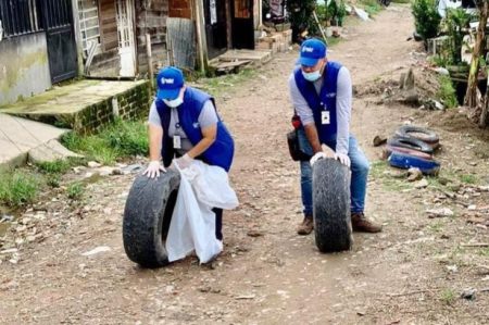 Bajan los casos de dengue en Ibagué