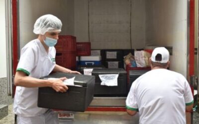 Alcaldía de Ibagué hace seguimiento al transporte de alimentos del PAE