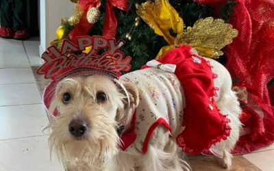 De Mendiga a Princesa