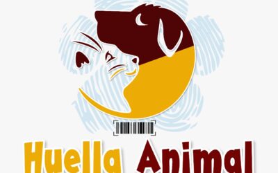 Fiestas Seguras y Saludables 2022 Secretaria de Salud del Tolima