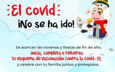 Fiestas Seguras y Saludables 2022 Secretaria de Salud del Tolima