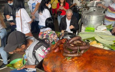 Fiestas Seguras y Saludables 2022 – Secretaria de Salud del Tolima