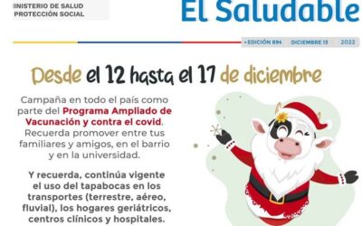 Fiestas Seguras y Saludables 2022 Secretaria de Salud del Tolima