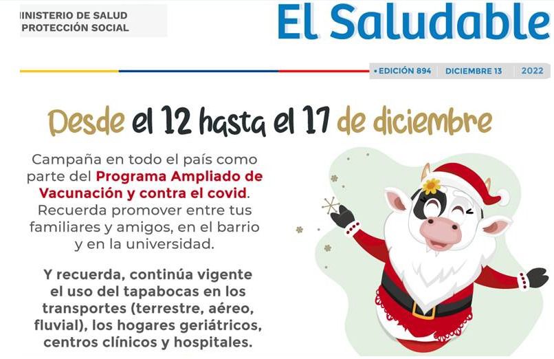 Fiestas Seguras y Saludables 2022 Secretaria de Salud del Tolima