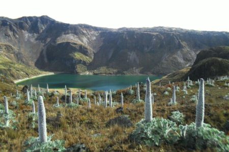 Organismos oficiales dieron apertura al Parque Nacional Natural de Los Nevados