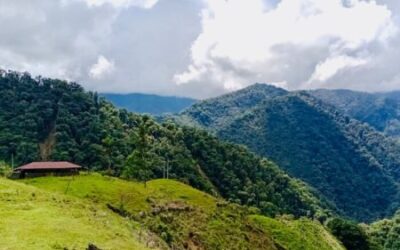 Familias rurales de Chaparral reciben incentivos económicos por proteger el bosque alto andino