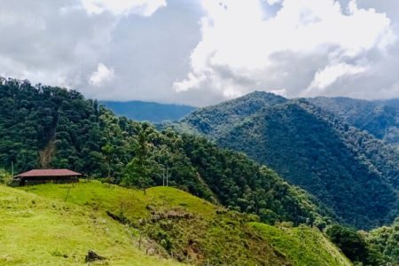 Familias rurales de Chaparral reciben incentivos económicos por proteger el bosque alto andino