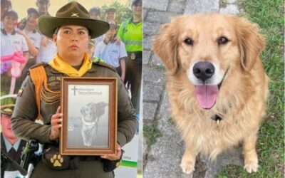 ¡Adiós a una heroína de cuatro patas! Policía Tolima rindió homenaje a ‘Evenly’