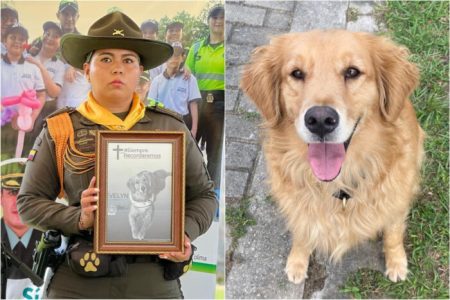 ¡Adiós a una heroína de cuatro patas! Policía Tolima rindió homenaje a ‘Evenly’