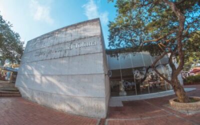 El Museo de Arte del Tolima celebra sus 20 años con dos importantes exposiciones
