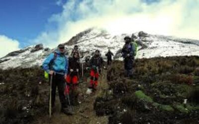 Autoridades refuerza la protección en la zona amortiguadora del Parque Nacional Natural Los Nevados en el Tolima