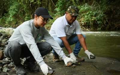 Cortolima liberó 47 animales silvestres en su hábitat natural